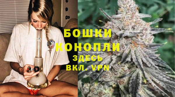 стафф Корсаков