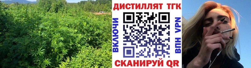 ТГК гашишное масло  Купить где  Чернушка 