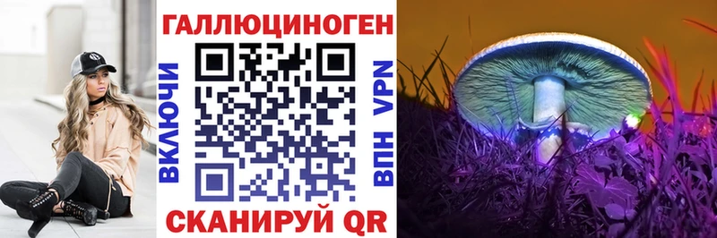 Купить закладки  Чернушка  Псилоцибиновые грибы мухоморы 