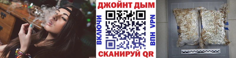 Конопля сатива  Купить где  Чернушка 